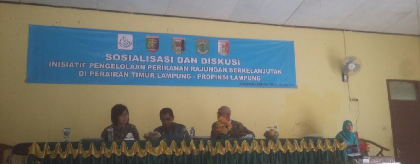 Lampung as a pilot project BSC management in Indonesia