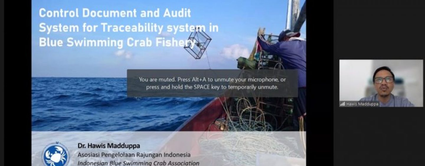 Discussion of the National Fish Traceability and Logistics System (STELINA) on Blue Swimming Crab