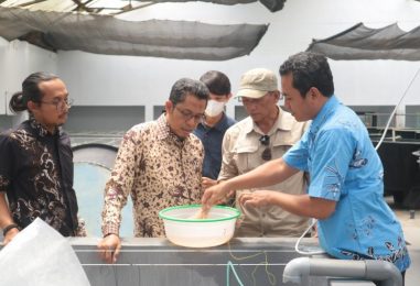Technical Discussion APRI, Politeknik KP Sidoarjo, and BBPBAP Jepara about Blue Swimming Crab
