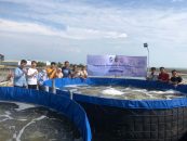 APRI – Polytechnic Marine and Fisheries of Sidoarjo – BBPBAP Jepara Spreading Crab Seeds