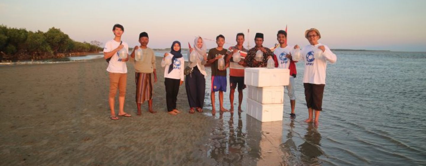 Restocking Activities for Crab Seeds in Pamekasan Waters