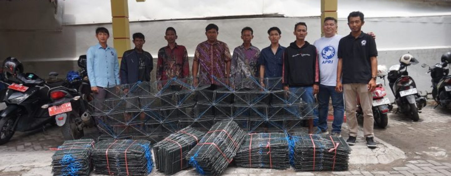 APRI Distributes Crab Traps (Bubu) to Rembang Fishermen as Part of Sustainable Blue Swimming Crab Fishery Transformation