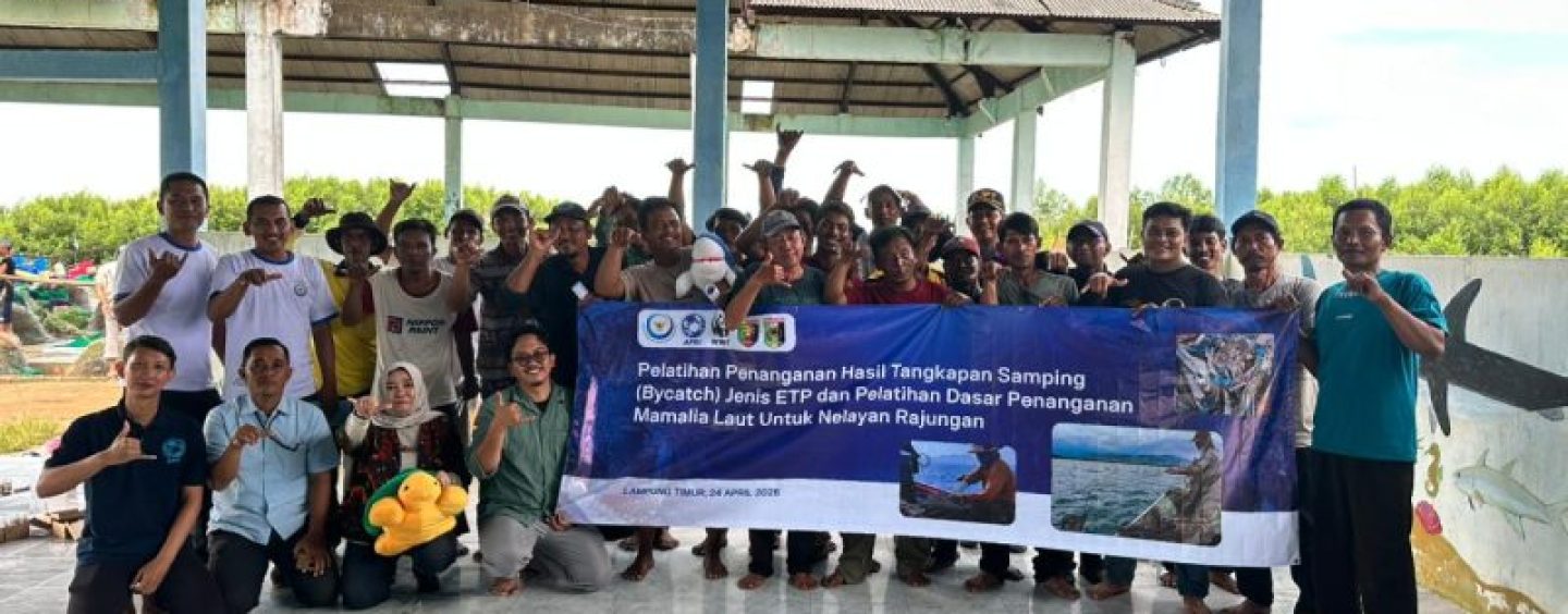 APRI and WWF Indonesia  Conduct ETP Bycatch Handling and Marine Mammal Rescue Training for Blue Swimming Crab Fishers in East Lampung