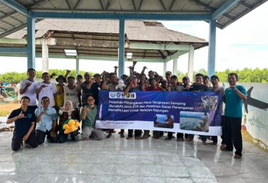 APRI and WWF Indonesia  Conduct ETP Bycatch Handling and Marine Mammal Rescue Training for Blue Swimming Crab Fishers in East Lampung