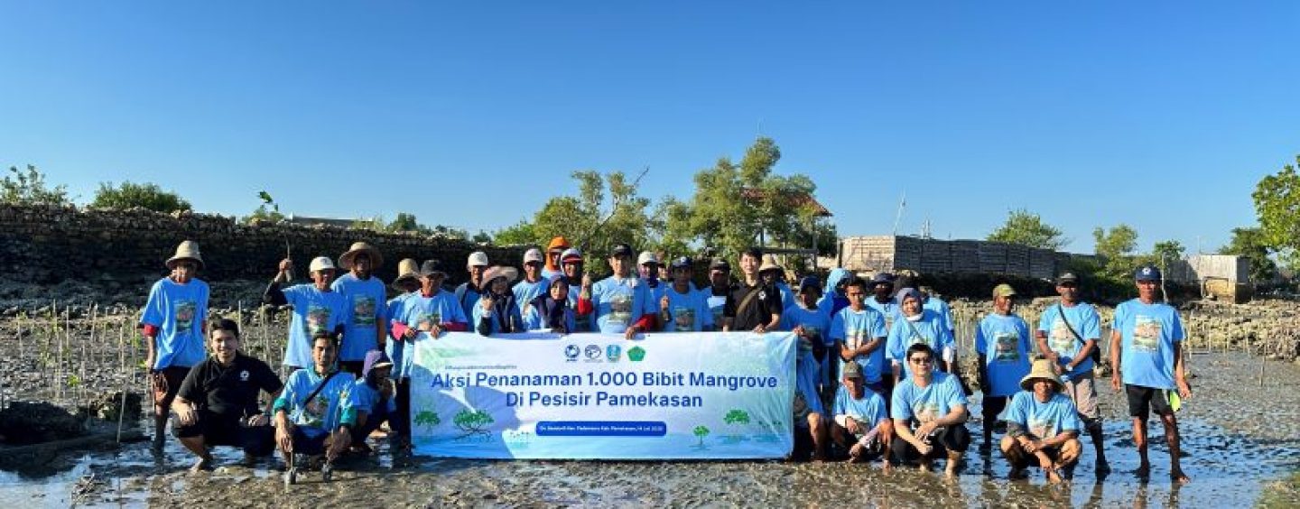 Protecting Our Oceans : 1,000 Mangrove Trees Planted in Pamekasan, Madura