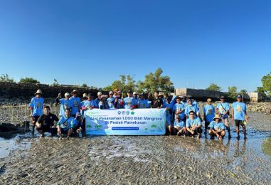 Protecting Our Oceans : 1,000 Mangrove Trees Planted in Pamekasan, Madura